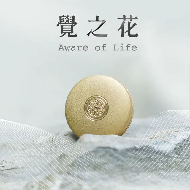 【2026】aqive 氣機科技推薦ptt》10款高評價人氣品牌排行榜 | 好吃美食的八里人