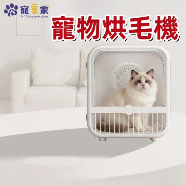 | BALIMAN情報局 【2026】寵物吹水機推薦|10款高評價人氣品牌排行榜 | BALIMAN情報局