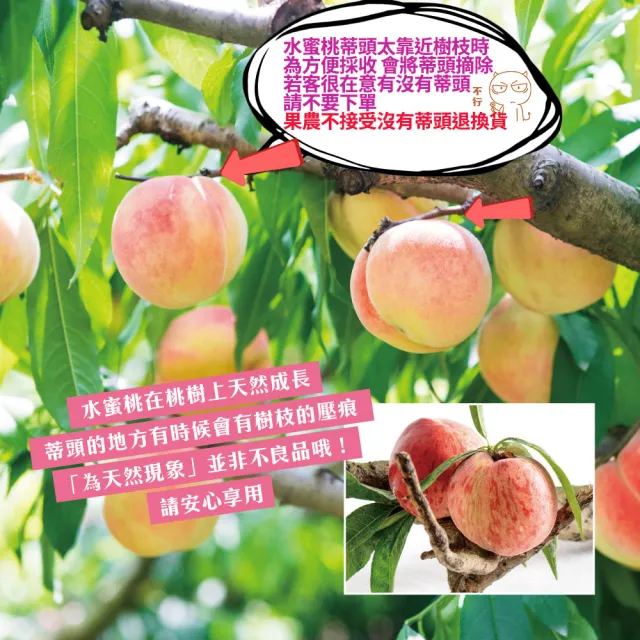 【初品果】7月桃-拉拉山水蜜桃禮盒12顆3斤x1盒(共12顆 食尚玩家推薦_季節限定_送禮禮盒_產地直送)