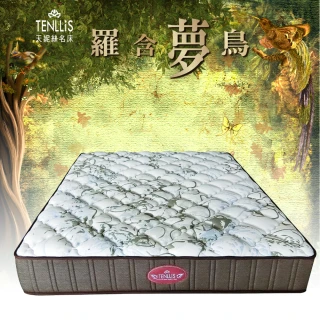 【TENLLiS 天妮絲】雙人特大 德國AGRO超靜音緩壓獨立筒二線 獨立筒床墊 6.0尺&times;7.0尺&times;28cm-羅含夢鳥