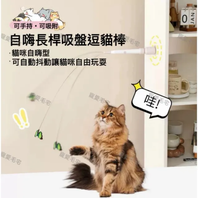 【2026】逗貓棒推薦10款高評價人氣品牌排行榜 | BALIMAN情報局