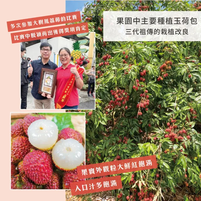 【初品果】高雄大樹玉荷包禮盒3斤x6盒(外銷等級32mm-35mm_顆粒_冷藏_鳳荔文化獎_端午禮盒)