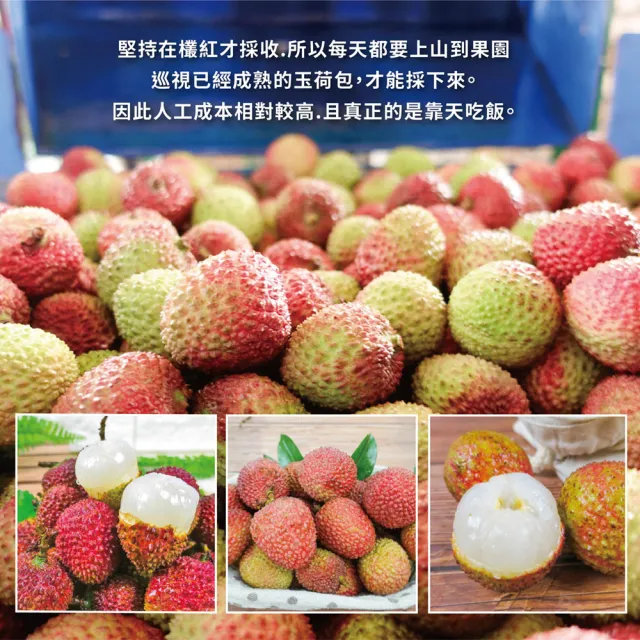 【初品果】高雄大樹玉荷包禮盒中果3斤x4盒(外銷等級32mm-35mm_顆粒_冷藏_鳳荔文化獎_端午禮盒)