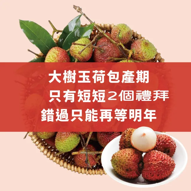 【初品果】高雄大樹玉荷包禮盒大果3斤x1盒(35mm+_顆粒_冷藏_鳳荔文化獎)(端午禮盒)