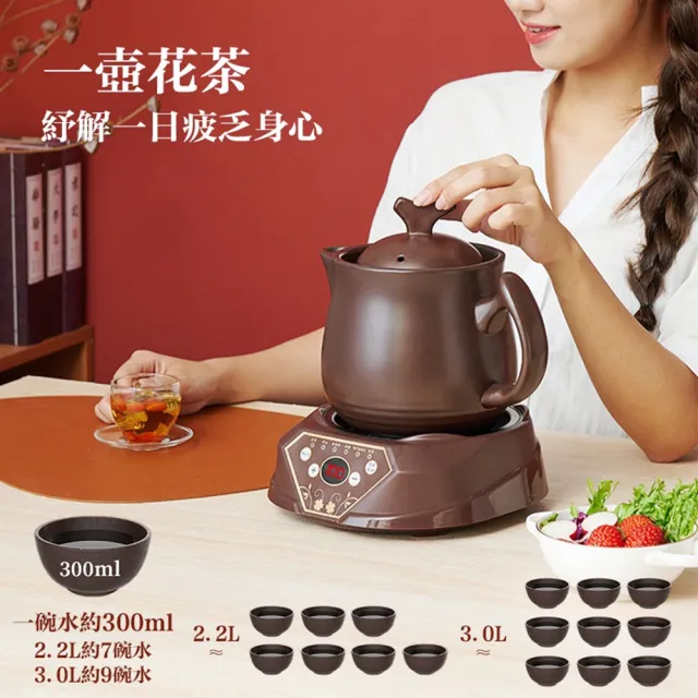 【tounichi 東日】多功能養生煮茶壺套組(養生壺/煮茶壺/電熱壺/花茶壺)