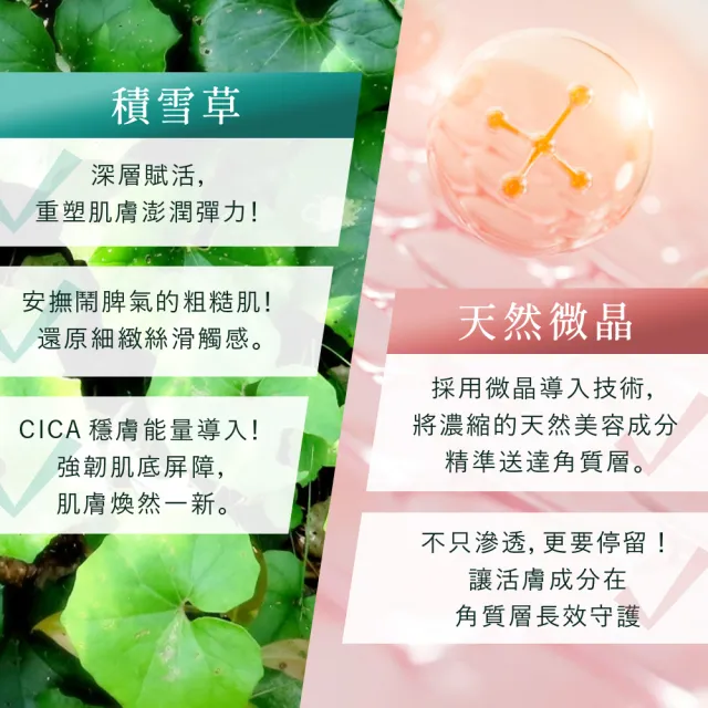 【日本美肌對策】KATAN珂坦 積雪草微晶修潤精華 005 30gx2入