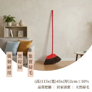 黑棕掃