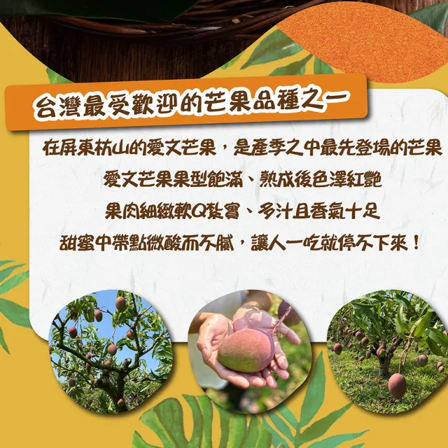 【禾鴻】屏東枋山山頂上的愛文芒果5斤x1盒(9-12顆/盒_中小果)