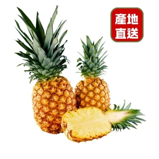 【探果籽】金鑽鳳梨4-7顆10斤&times;2箱(回購率超高＿香甜多汁)