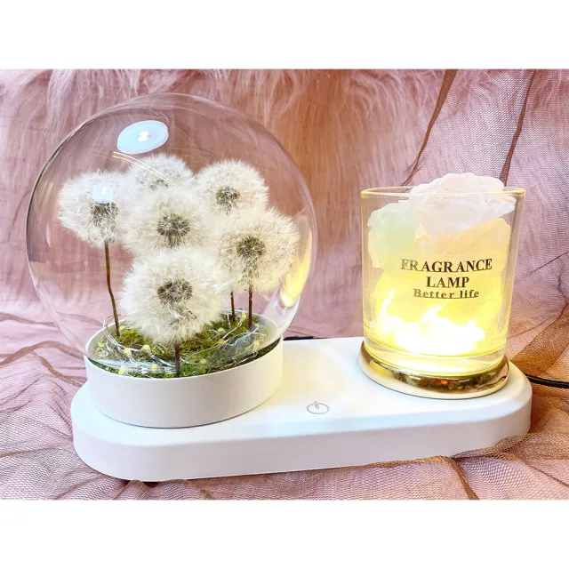 【OSTARA FLORIST 奧斯塔拉花藝】滿滿小巧蒲公英圓球玻璃罩燈飾 水晶石擴香系列(永生花、居家生活、花禮)