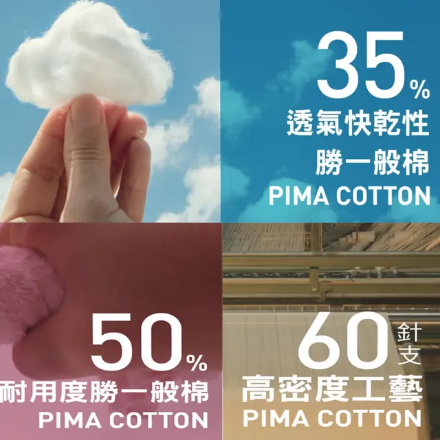 【LOHAS 樂活人生】5入組-台灣製歐洲精品92%PIMA棉 透氣抑菌高腰女內褲（天然無毒親膚）