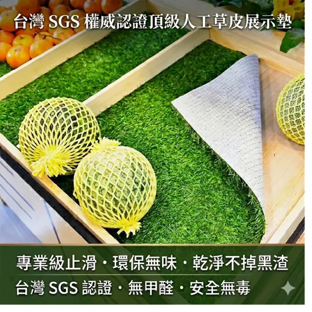 【poko】人工草皮 100x100cm SGS認證 白色膠底款 無甲醛 仿真景觀草皮 草坪 草地毯 寵物墊