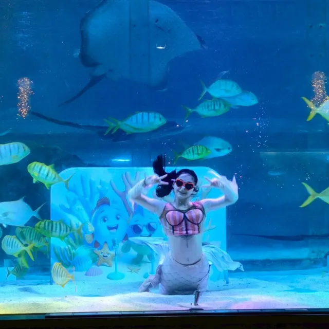 FUN暑假-清易嗨翻玩五日★愛寶樂園、水族館&美人魚秀、塗鴉秀、汗蒸幕(早去晚回足五天)