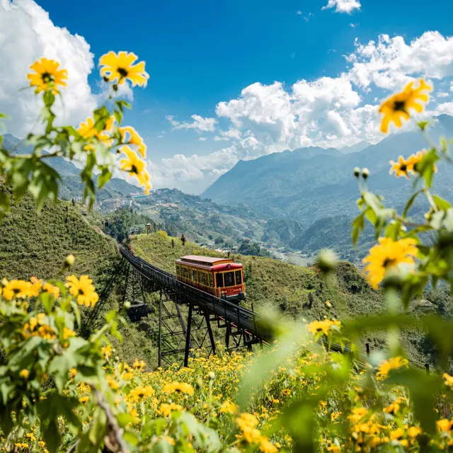 【好饗趣旅遊】越南沙壩5日★指定出發10-12月-奢華5星萬豪龍蝦吃到飽