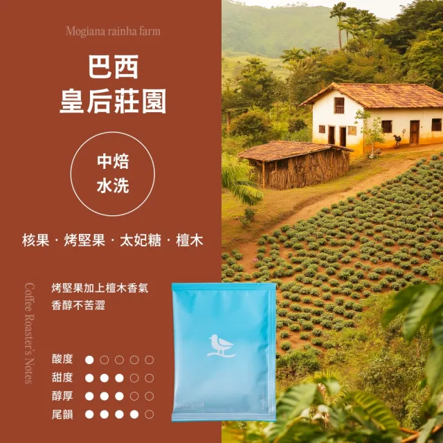 【江鳥咖啡】杯測師精選 善牧計畫老饕組中焙濾掛咖啡1盒(10gx50入/盒;巴西皇后莊園/黑騎村/004焙韻)