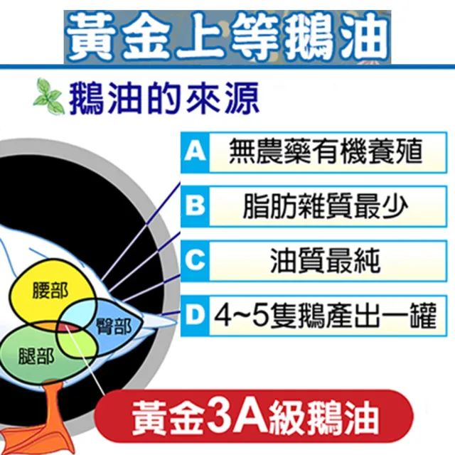 極鮮 黃金3A頂級鵝油紅蔥味六入組(豬牛油 拌醬 伴手禮)
