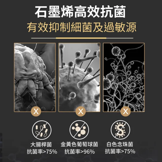 【LooCa】石墨烯空調四季被+石墨烯枕套(1入組★超值組)