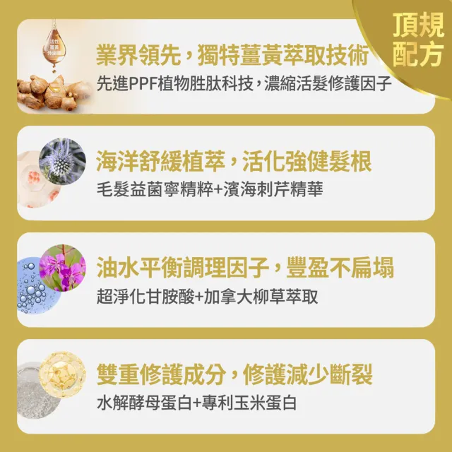 【FJ 豐傑生醫】3D薑黃胜髮根活化洗髮精-250ml(蓬鬆豐盈ｘ活化強健髮根)