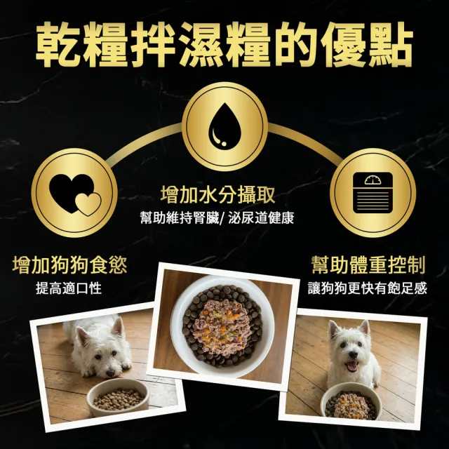 【Cesar 西莎】經典風味餐盒 100g*24入(狗罐/犬餐盒/熟齡犬/全齡適用)