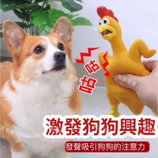 【2026】狗狗玩具推薦｜10款高評價人氣品牌排行榜 | BALIMAN情報局