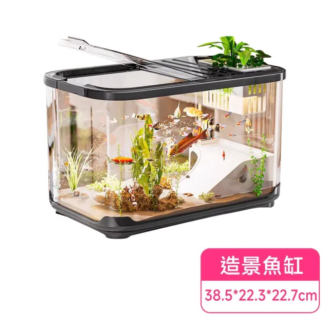 【2026】魚缸過濾器推薦ptt》10款高評價人氣品牌排行榜 | BALIMAN情報局
