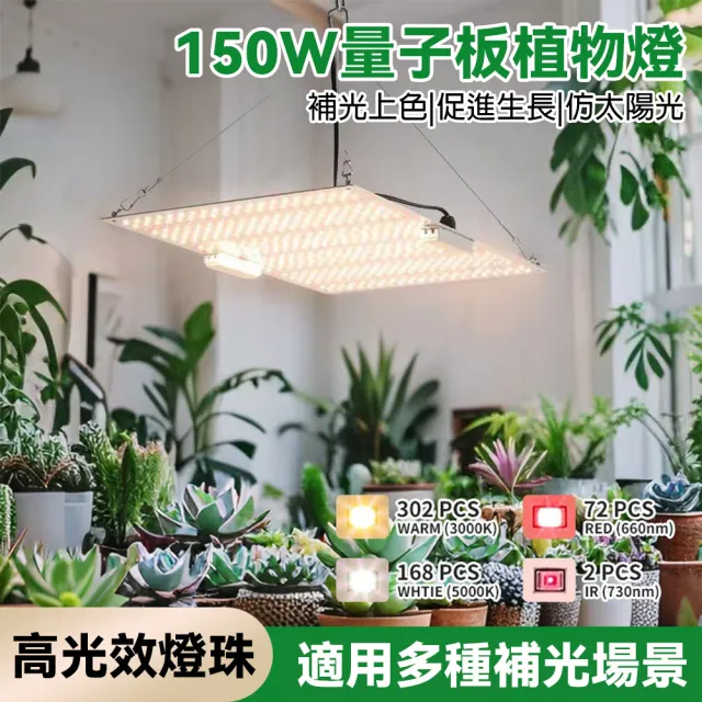 【2026】植物燈推薦ptt》10款高評價人氣品牌排行榜 | BALIMAN情報局