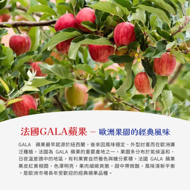 【FruitGo 馥果】進口GALA加拉蘋果150克/顆 x25-30顆/箱 (法國_紐西蘭_美國)