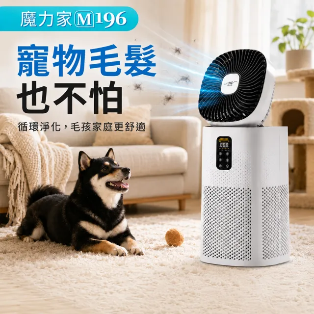 【2026】空氣清淨機電風扇推薦ptt》10款高評價人氣品牌排行榜 | BALIMAN情報局