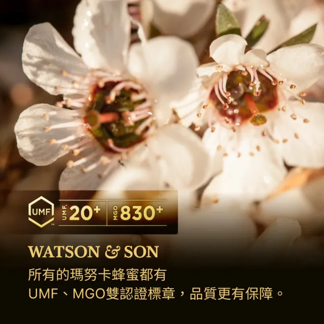 【Jollyard 潔麗雅】沃森 瑪努卡蜂蜜20+ 250g (UMF 20+ ; MGO 830+)