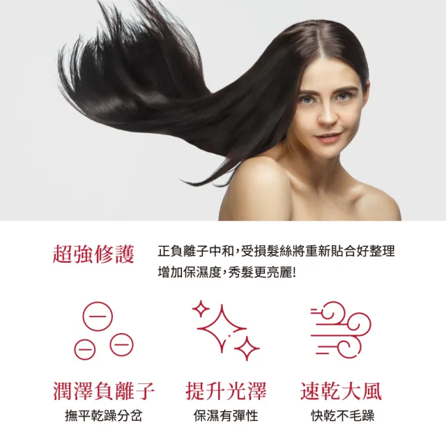 【TESCOM】官方直營 大風量負離子吹風機 TID962TW