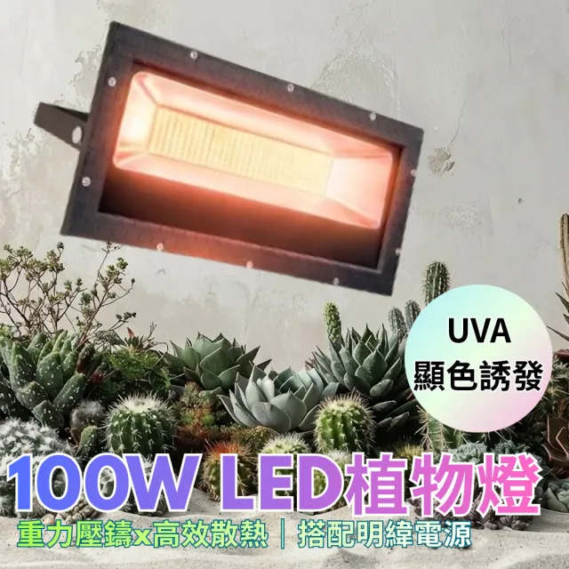 【2026】植物燈推薦ptt》10款高評價人氣品牌排行榜 | BALIMAN情報局