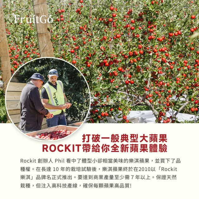 【FruitGo 馥果】紐西蘭樂淇特大蘋果3管_4顆共424g/管 (#412禮盒)(中元普渡 水果送禮）