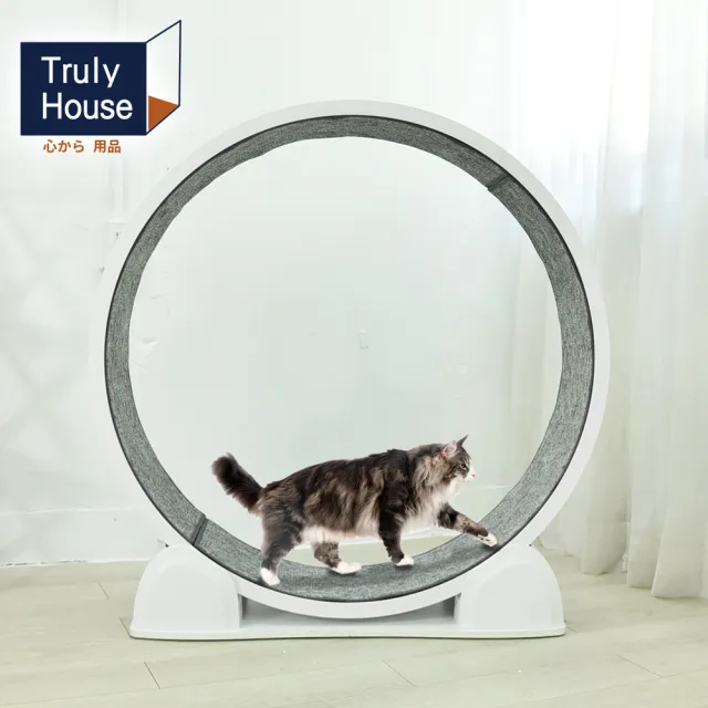 【Truly House】加大款貓咪跑步機 貓咪跑步滾輪 貓咪跑步機 貓咪跑輪 貓滾輪 貓咪玩具 寵物健身跑步滾輪