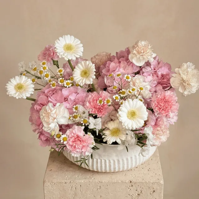 【CNFlower 西恩】粉嫩馨花園 盆花(鮮花/送禮/母親節)