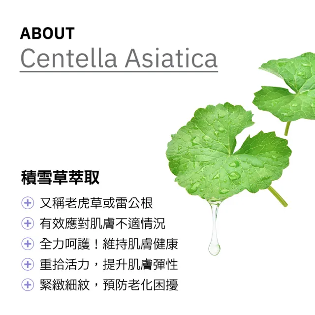 【Dr.Hsieh 達特醫】LabSmart Classic黃標 2%積雪草萃取精華30ml(三入組/無盒)