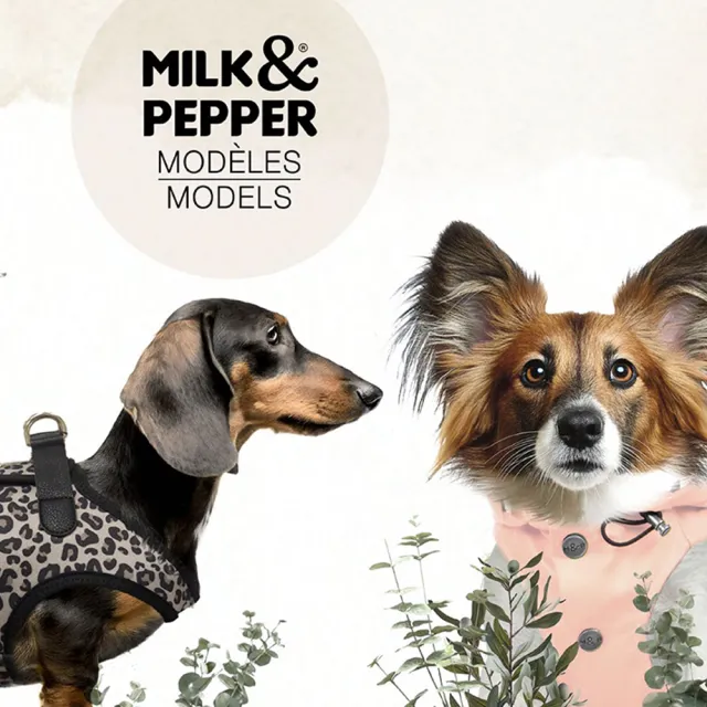 【Maison Pomette】法國寵物精品 Milk&Pepper-夏洛特印花雨衣 29-41