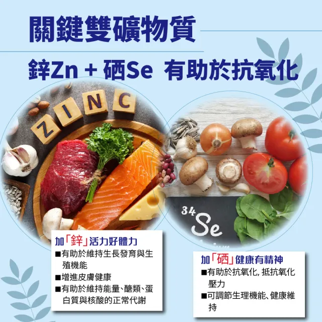 【SENTOSA 三多】男性B群+鋅硒錠(60錠/盒)