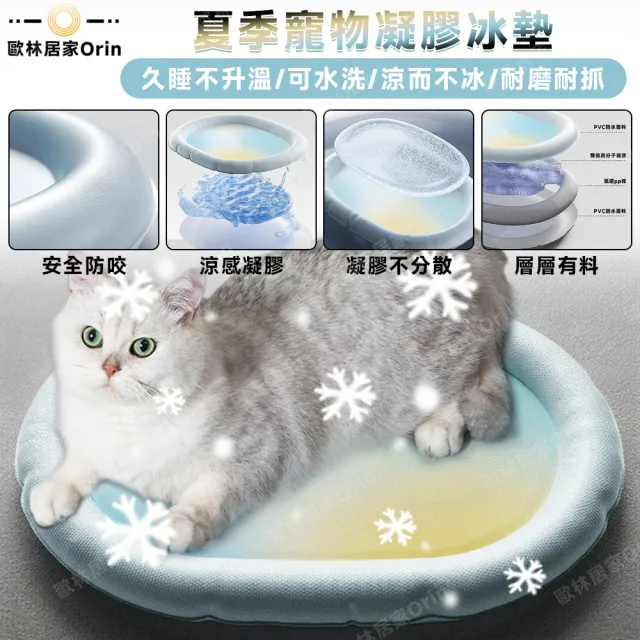 【2026】狗狗玩具推薦ptt》10款高評價人氣品牌排行榜 | BALIMAN情報局