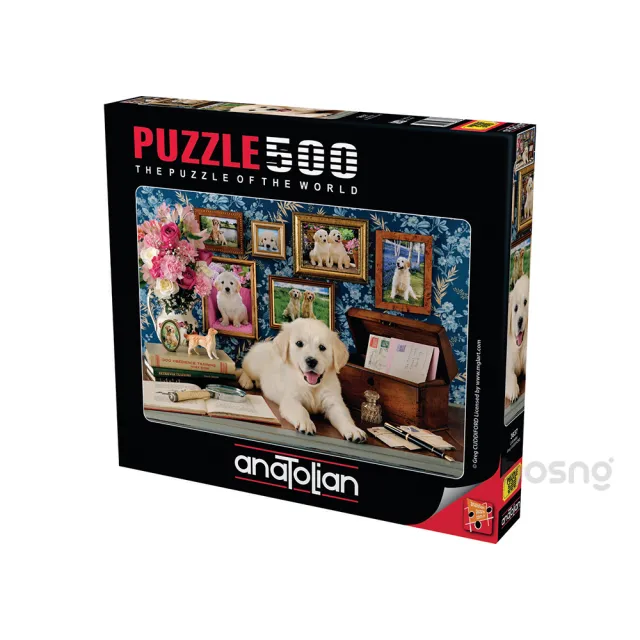 【2026】桌遊推薦ptt》10款高評價人氣品牌排行榜 | 好吃美食的八里人