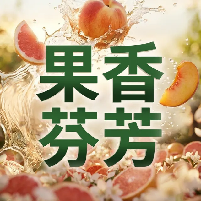 【Lysol 來舒】衣物消毒液-白桃 葡萄柚1Lx3(衣物消毒/內衣褲清潔/洗衣除臭/植源萃取/室內晾衣)