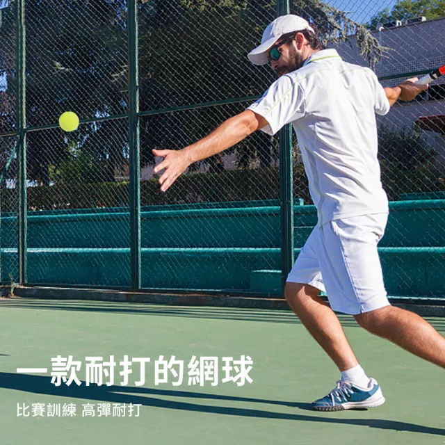【Cube】10入組 高彈橡膠網球 訓練練習球 自動回彈 按摩球 貓狗寵物玩具 橡膠彈力球 壁球 專業訓練/初學