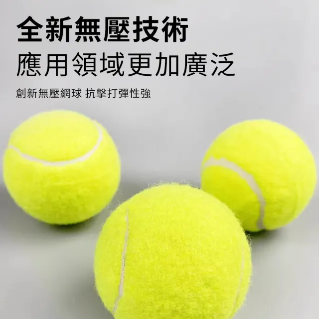 【Cube】10入組 專業級訓練網球 練習網球 壁球 自動回彈 按摩球 貓咪/狗狗玩具 寵物玩具 橡膠網球