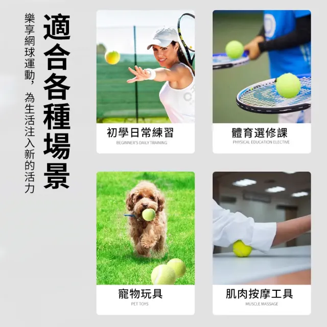 【Cube】10入組 專業級訓練網球 練習網球 壁球 自動回彈 按摩球 貓咪/狗狗玩具 寵物玩具 橡膠網球