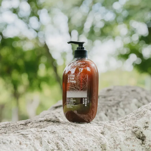 【茶籽堂】草本植萃養護洗髮露500mL｜三款調理任選(錦葵豐盈蓬鬆/桑白皮染燙修護/紫草強效控油)