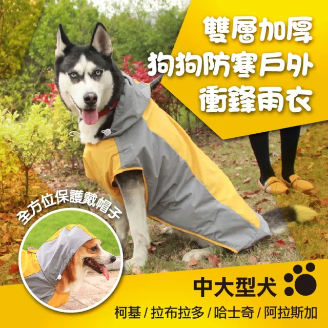 【2026】狗狗雨衣推薦ptt》10款高評價人氣品牌排行榜 | BALIMAN情報局