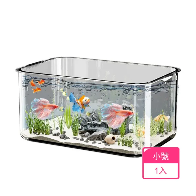 【2026】魚缸推薦ptt》10款高評價人氣品牌排行榜 | BALIMAN情報局