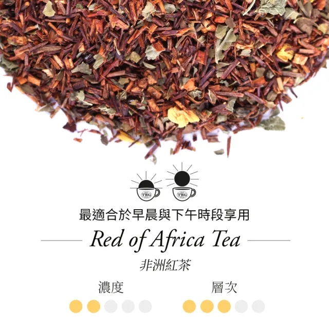 【TWG Tea】時尚茶罐雙入禮盒組 非洲南非國寶茶100g+摩洛哥薄荷綠茶130g(南非國寶茶+綠茶)