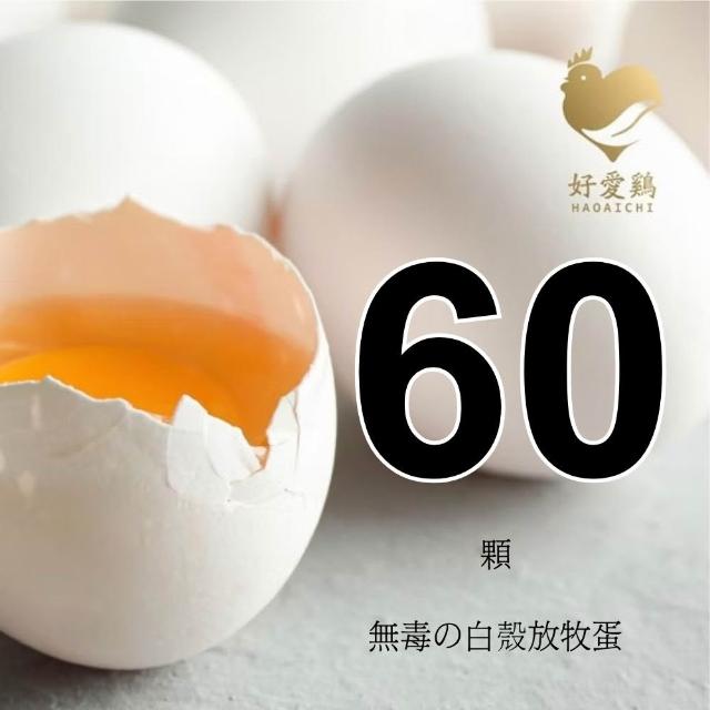 【HAOAICHI 好愛雞】無毒の白殼放牧蛋 中家庭2盤 共60顆(30顆/盤) 非籠飼 無藥殘 無毒飼料 雞蛋