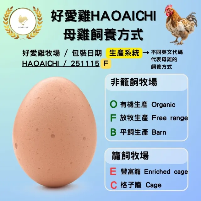 【HAOAICHI 好愛雞】無毒の放牧蛋 紅殼 大家庭8盒 共80顆(10顆/盒) 非籠飼 無藥殘 無毒飼料 雞蛋