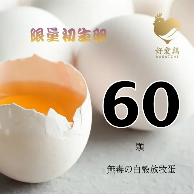【HAOAICHI 好愛雞】限量初生卵 無毒の白殼放牧蛋 中家庭2盤 共60顆組(30顆/盤)非籠飼無藥殘無毒 雞蛋